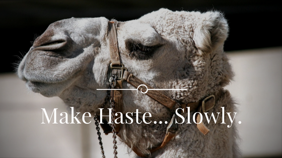 Make Haste Slowly